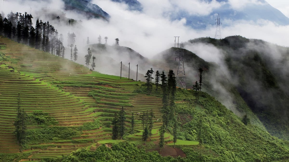 Rwanda Shifts Agriculture Strategy Toward Climate Resilient and Modern Farming