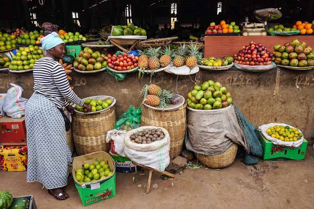 Rwanda Seeks to Increase Agricultural Value Addition Through Agro Processing